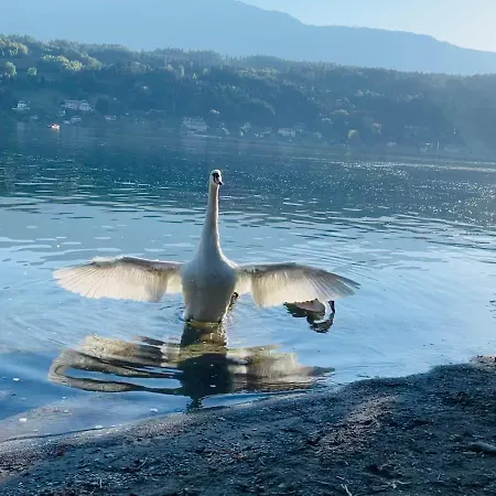 شقة Haus Seerose *